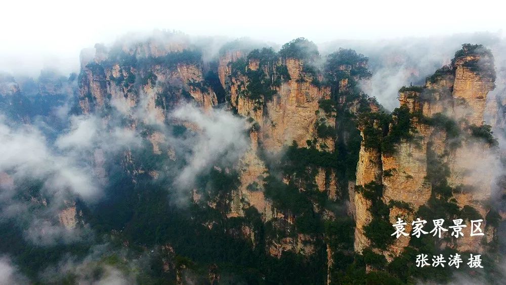 今日话题：单位食堂节假日期间对游客开放〡早安，张家界（343期）