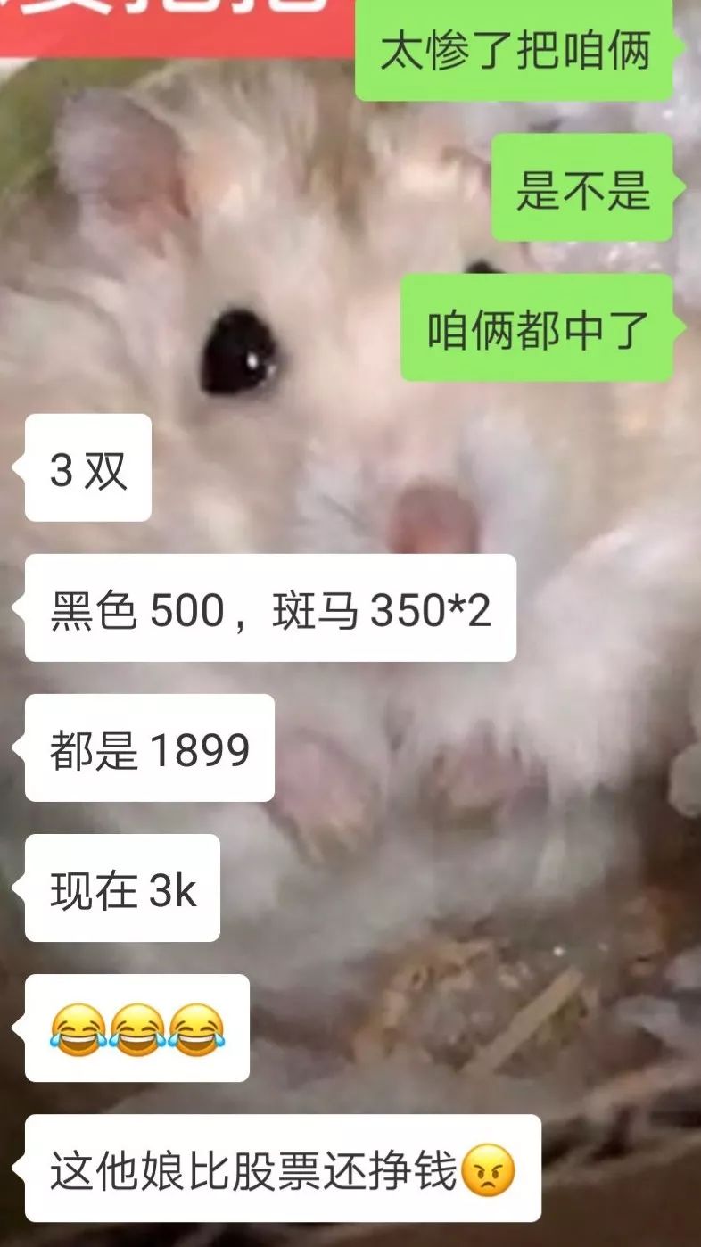 炒币亏了很多钱该告诉家人吗,炒币亏了多少