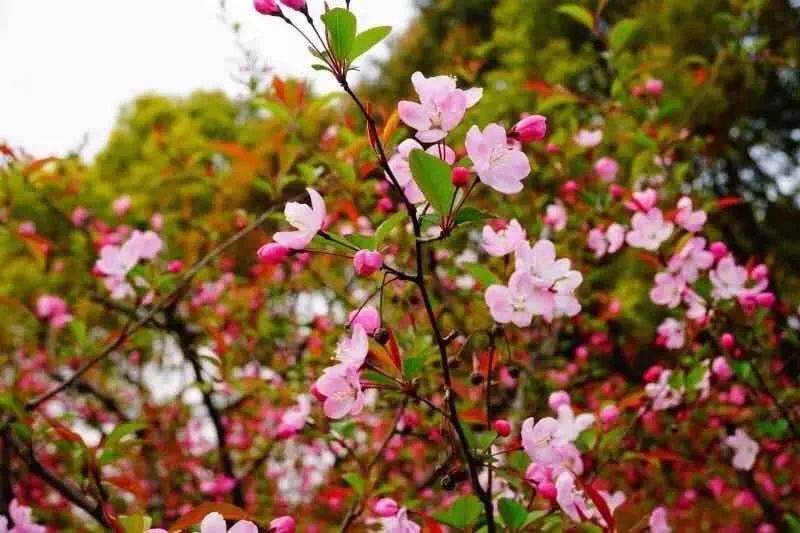 上海轨交线沿途风景,都挺好坐公交车