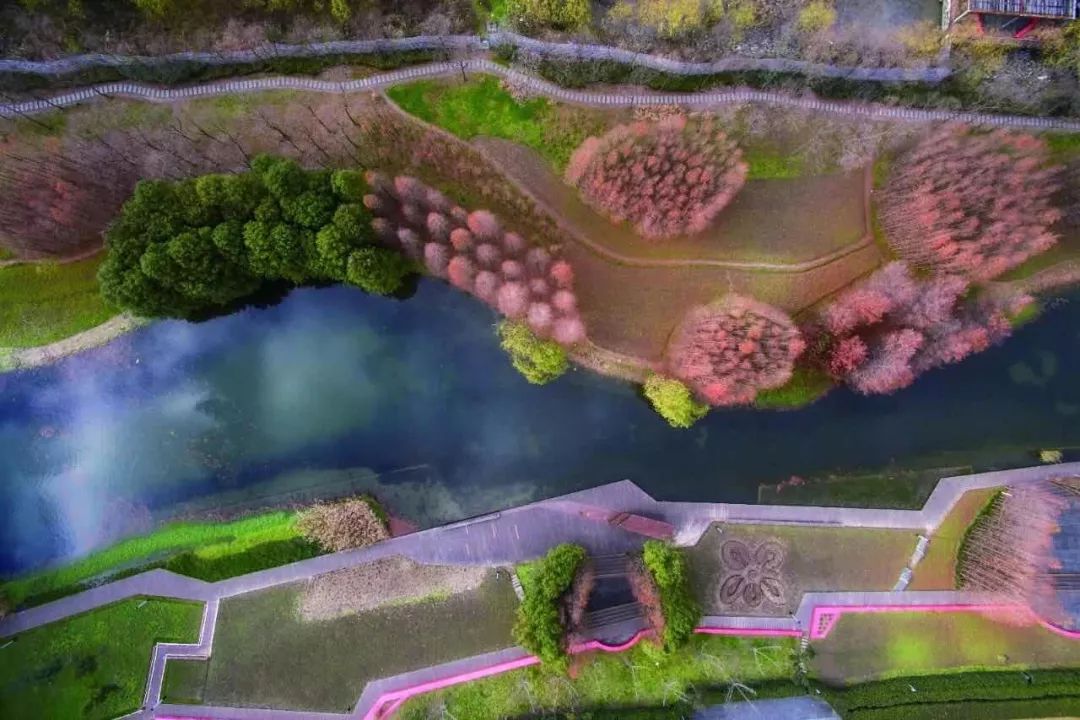 上海轨交线沿途风景,都挺好坐公交车