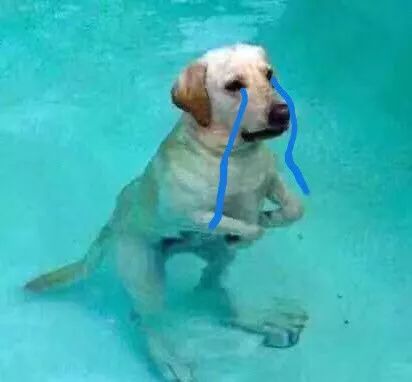 俄罗斯化妆品有多便宜,俄罗斯的化妆品巨好用