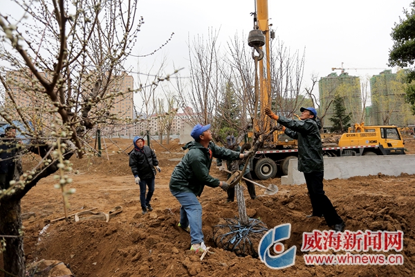 文体公园建设近况,文体公园最新规划