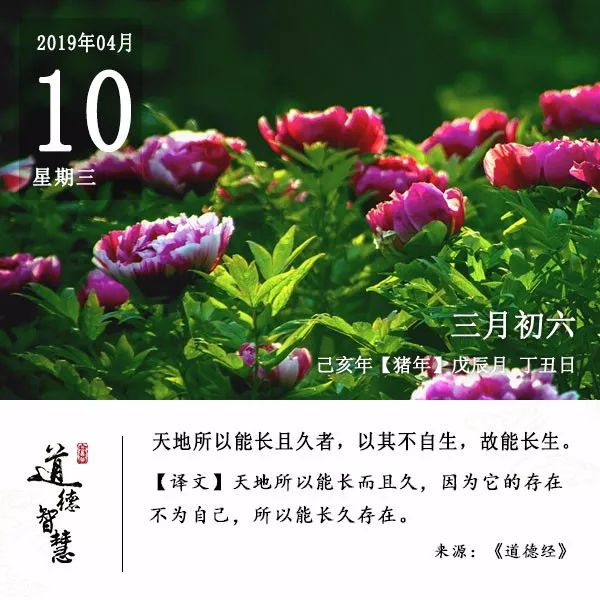 脑瘫男孩超一本线104分,脑瘫少年高考623分他是如何做到的