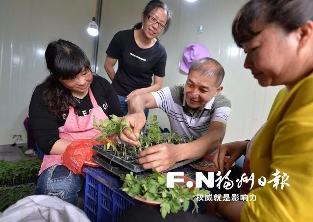 两岸媒体寻根祭祖,两岸广播媒体走访闽台