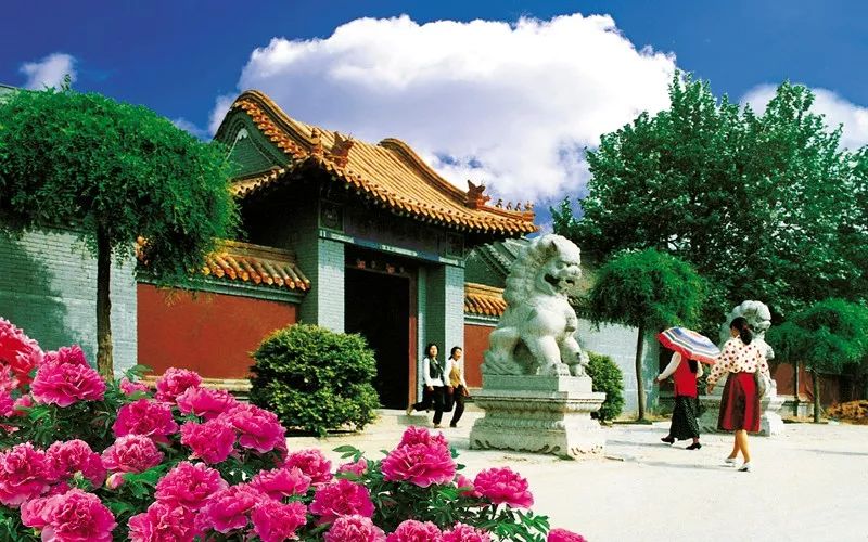 菏泽观赏牡丹花基地,菏泽牡丹花什么时候欣赏最好