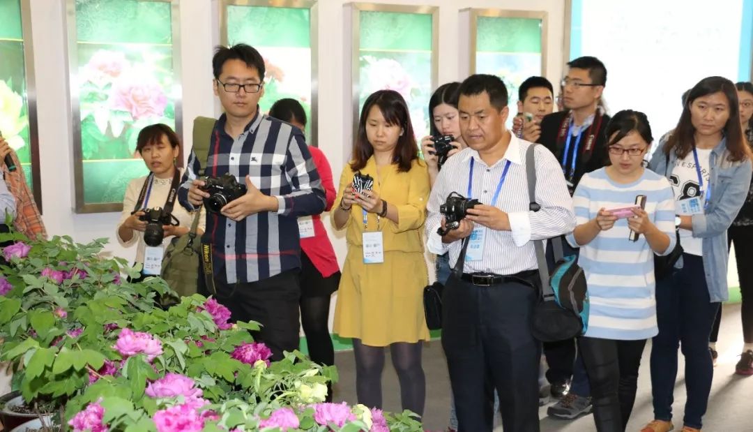 菏泽观赏牡丹花基地,菏泽牡丹花什么时候欣赏最好