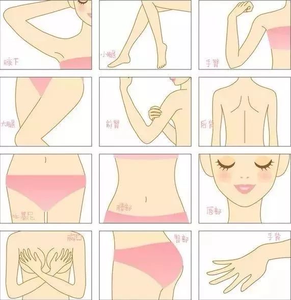 不脱毛的脱毛方法,猕猴桃脱毛的正确方法