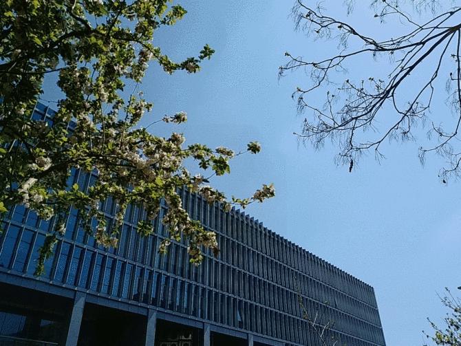 小而美的童话能否继续延续？摩托罗拉g7plus评测