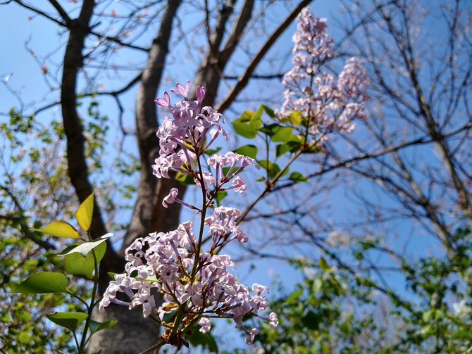 小而美的童话能否继续延续？摩托罗拉g7plus评测