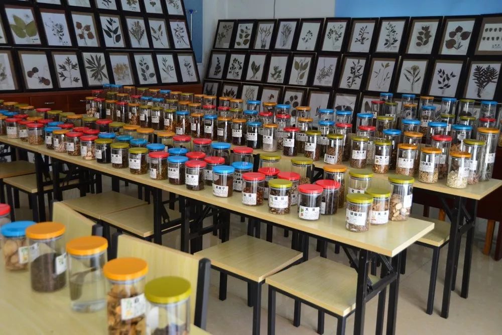 专治风湿关节炎的中医大师,从赤脚医生到全国名中医