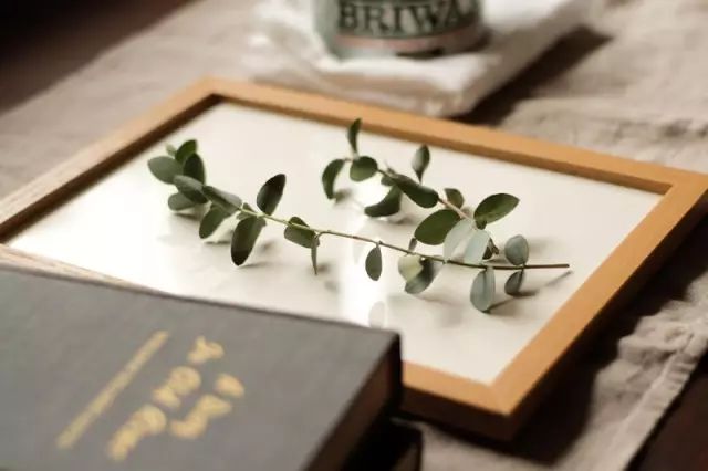 干花制作手工画,做手工diy干花