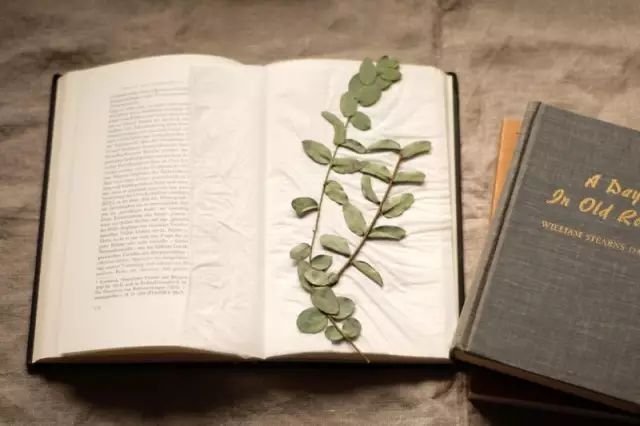 干花制作手工画,做手工diy干花