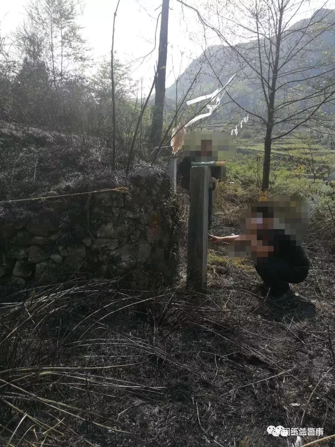 上坟引发山火赔偿案例,叔侄二人祭祀烧纸引发山火被判刑