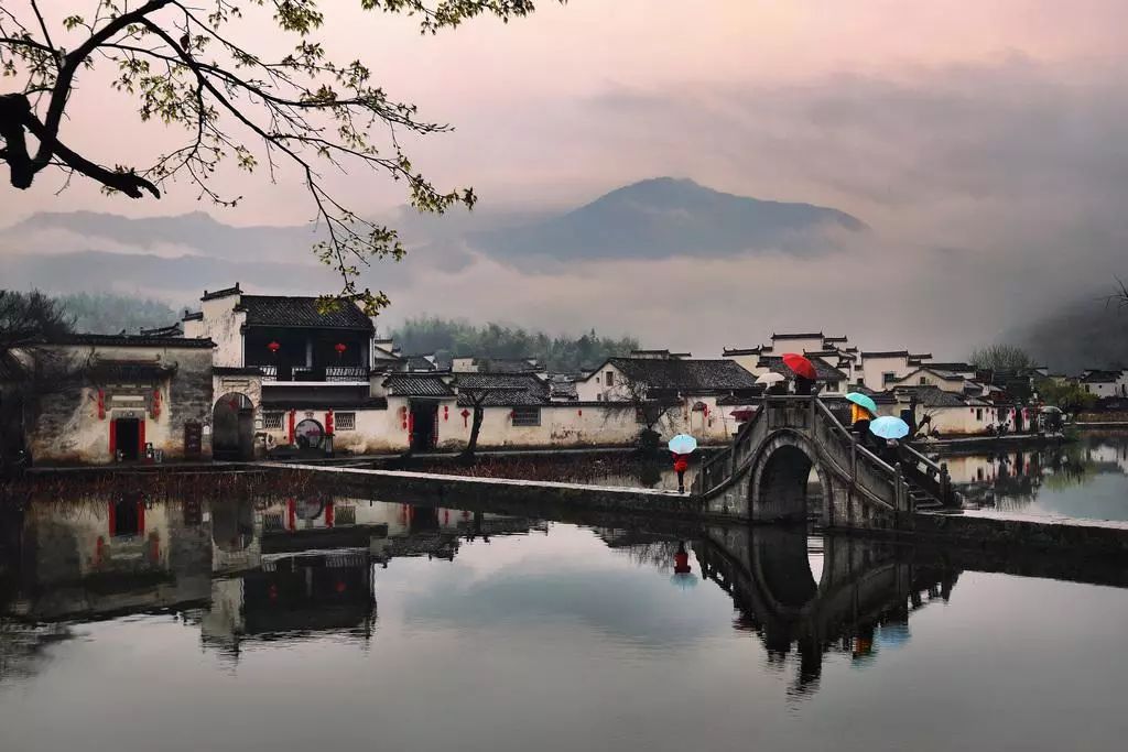 写梅子的诗句,写梅子诗句