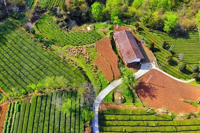 去哪儿首发：72小时玩转宜都，穿越古今，看大自然和人类文化的碰撞