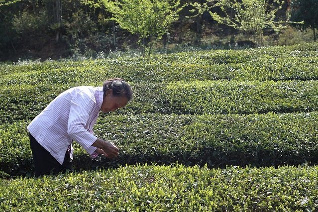 去哪儿首发：72小时玩转宜都，穿越古今，看大自然和人类文化的碰撞