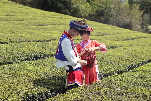 去哪儿首发：72小时玩转宜都，穿越古今，看大自然和人类文化的碰撞