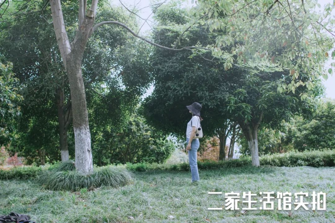 这个几十块的小玩意，你身边的仙女们已经人手一个啦！