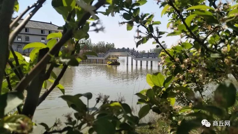 黄河故道50公里越野赛,徒步穿越黄河故道