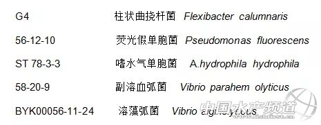过硫酸氢钾对水产起什么作用,过硫酸氢钾在水产对病毒有效吗
