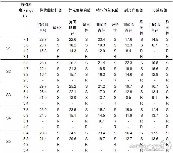 过硫酸氢钾对水产起什么作用,过硫酸氢钾在水产对病毒有效吗