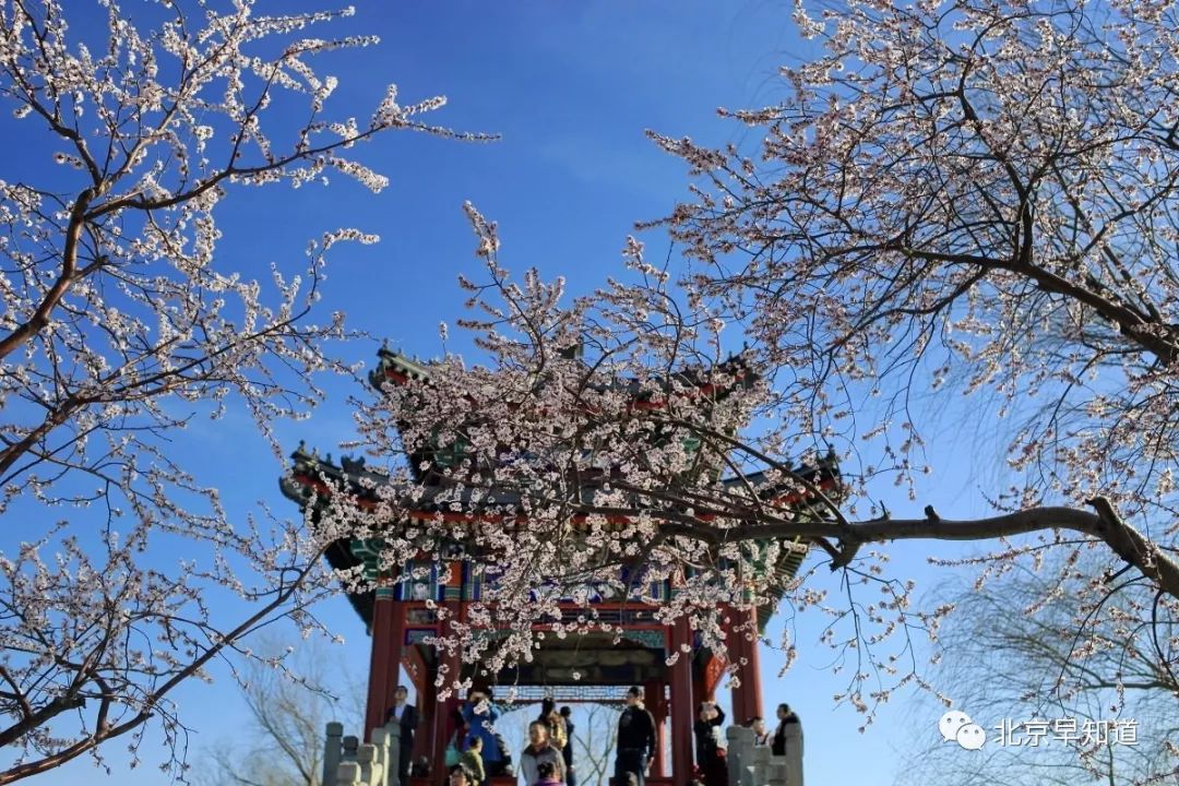 北京过敏鼻炎,北京治疗过敏鼻炎的医院