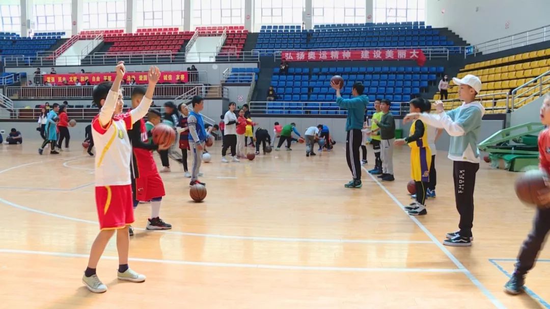 青少年专业体育训练营,暑假全封闭式体育训练营