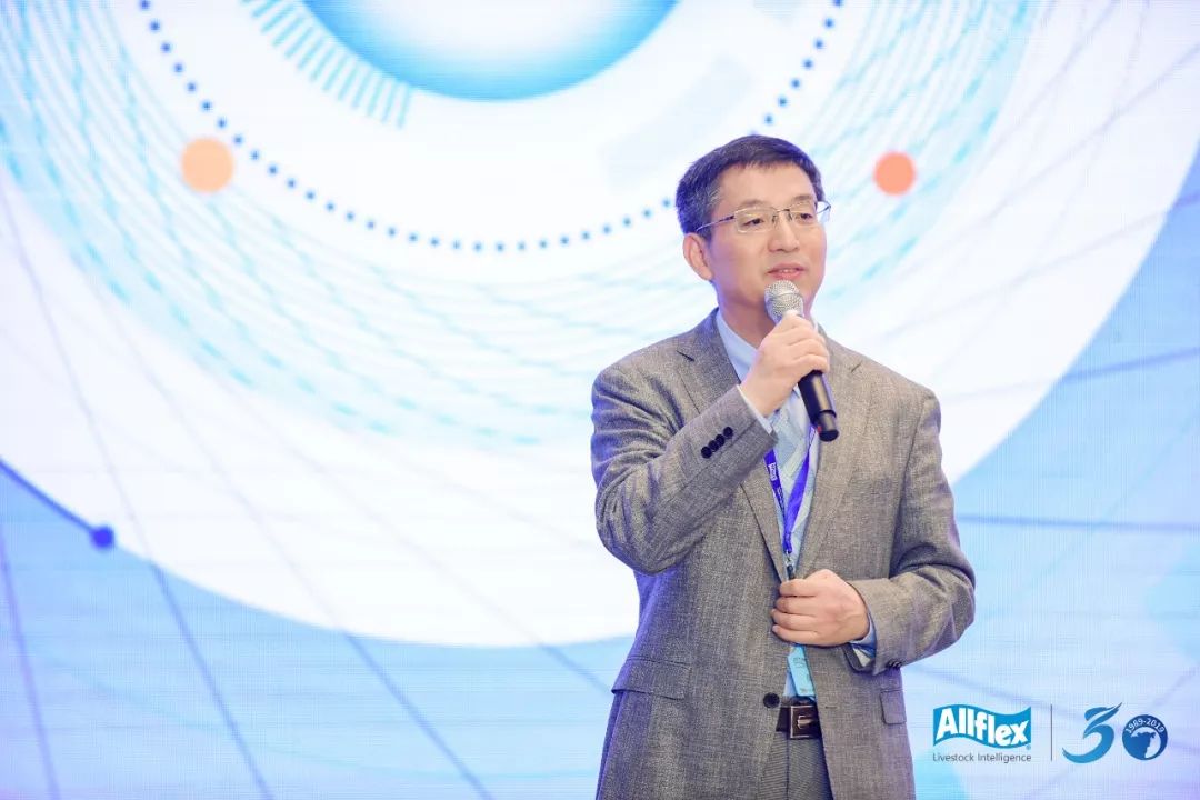 大数据万万没想到,万万没想到深度解析