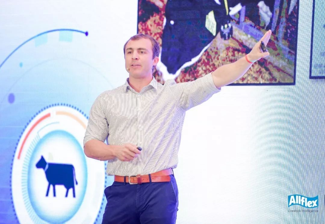 大数据万万没想到,万万没想到深度解析