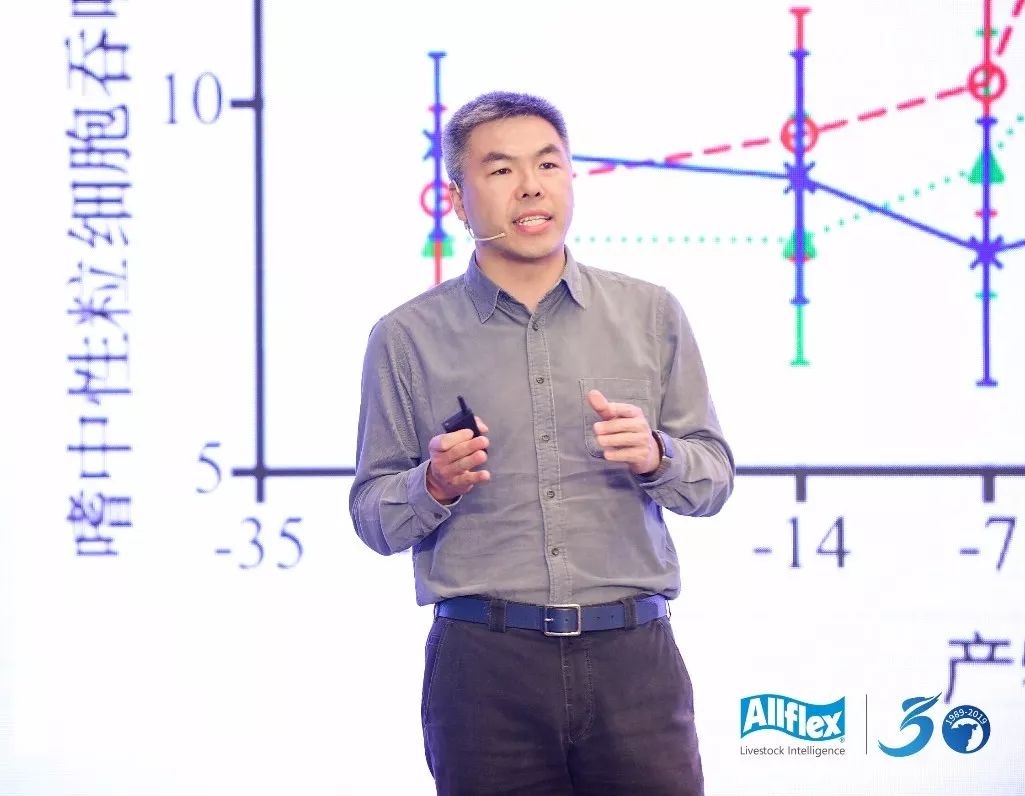 大数据万万没想到,万万没想到深度解析