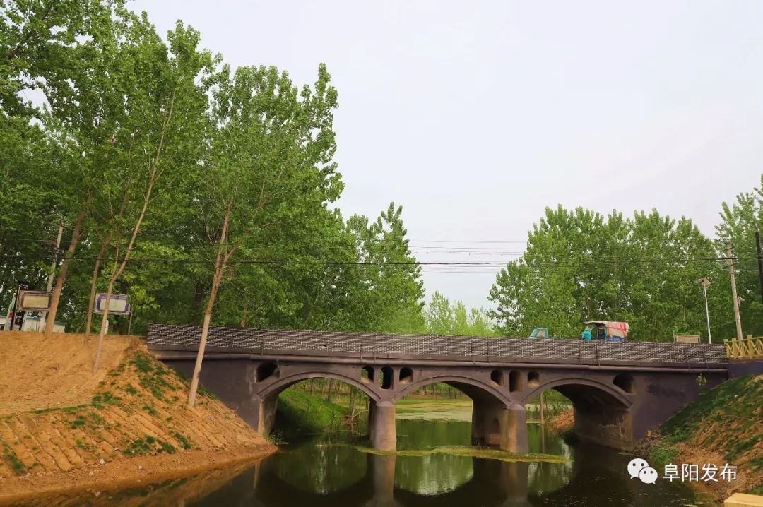 新疆昭苏县千亩芍药盛开,3a景区有哪些村