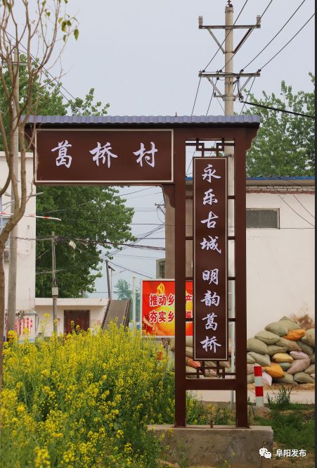 新疆昭苏县千亩芍药盛开,3a景区有哪些村