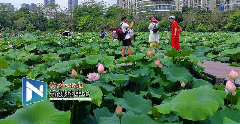 福州地铁4号线美食打卡,福州地铁4号线游玩攻略