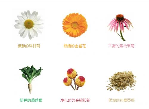 茱莉蔻防晒测评,茱莉蔻的防晒好么