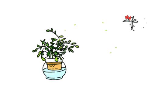 最好用的驱蚊好物,安全驱蚊效果好的驱蚊产品