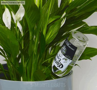 有用小妙招生活分享,分享一下生活中的小窍门