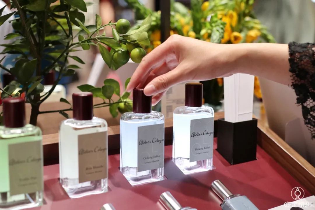 浙江首家！周杰伦为她谱曲、李佳琦连拍两个视频种草、让代购跑断腿的香水品牌来杭州了！