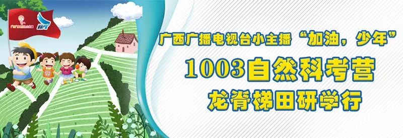 用最少的钱打造最美的家,如何打造温馨舒适家