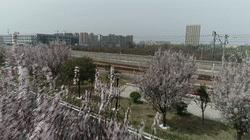 加开列车返程客流,加开五对旅客列车