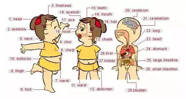 英语听力场景词汇大汇总，高一、高二、高三均适用！