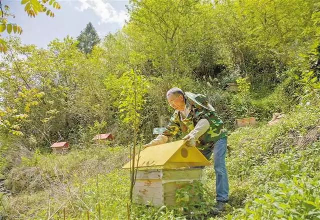 循着习*平近**总书记在重庆考察的足迹一路回访……