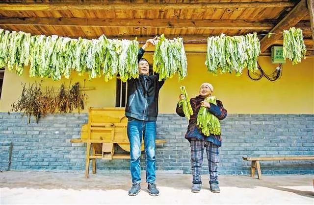 循着习*平近**总书记在重庆考察的足迹一路回访……