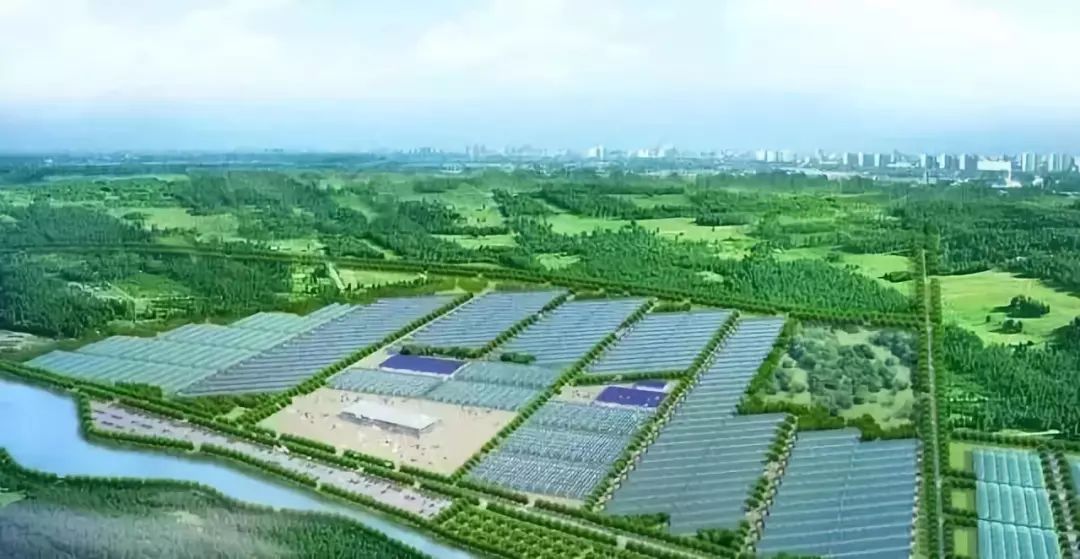 农业产业园新商业模式,农业公司运营商业模式