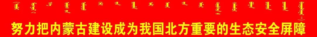 世界级工程大兴机场,超级工程大兴机场