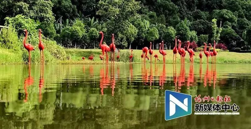 地铁4号线试乘券怎么领取,合肥地铁二号线免费试乘券哪里领