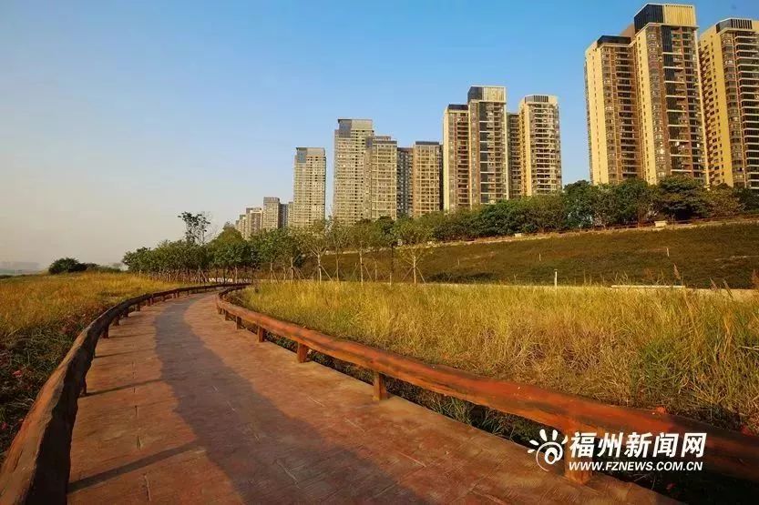 地铁4号线试乘券怎么领取,合肥地铁二号线免费试乘券哪里领