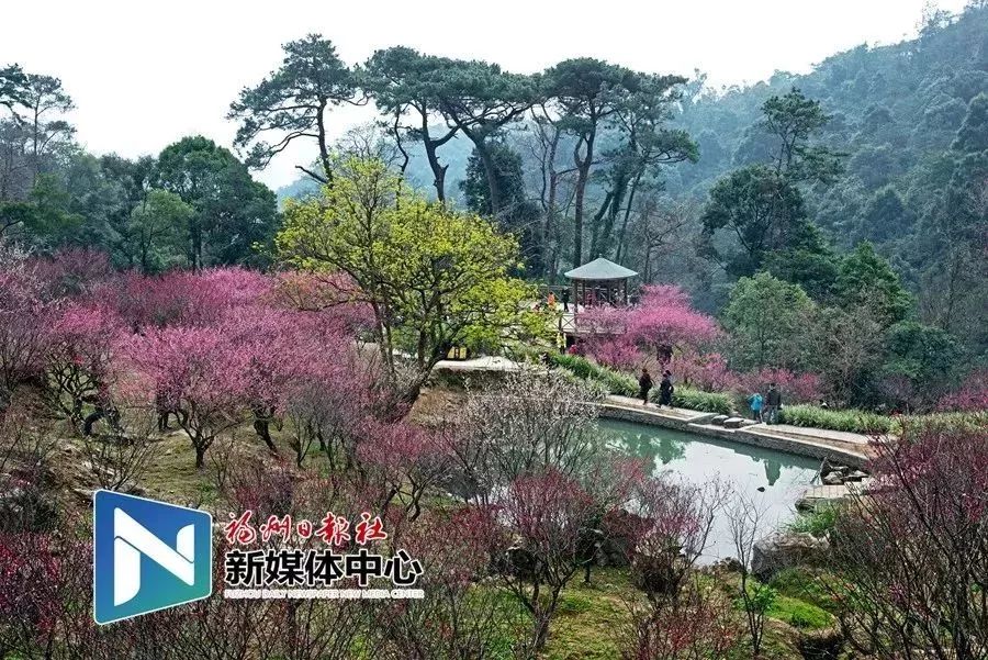 地铁4号线试乘券怎么领取,合肥地铁二号线免费试乘券哪里领