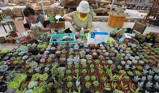 蹲点采访环卫工人8小时工作,蹲点采访