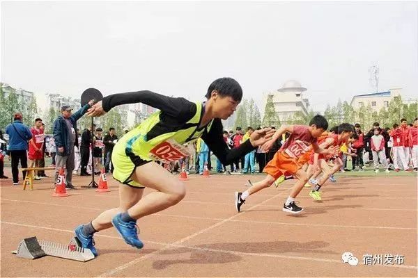 宿州市埇桥区中小学生田径运动会,宿州埇桥区2024年小学生田径比赛