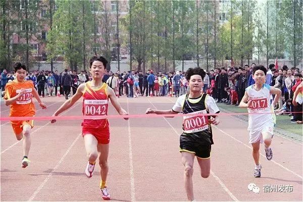 宿州市埇桥区中小学生田径运动会,宿州埇桥区2024年小学生田径比赛